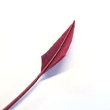 Wine Arrow Head Feather